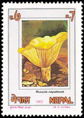1994