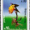 1994